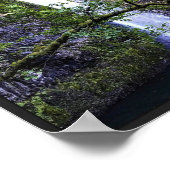 Horsetail Falls Poster (Ecke)