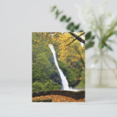 Horsetail Falls Postkarte (Stehend Vorderseite)