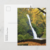 Horsetail Falls Postkarte (Vorne/Hinten)