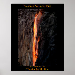 HorseTail fällt letztes Licht Poster