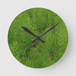 Horsetail Ferns Runde Wanduhr
