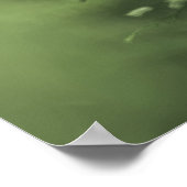 Horsetail Foto grün Blumendesign Poster (Ecke)