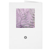 Horsetail-Gras/Stamm-Karte (Hinten)