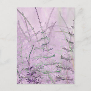 Horsetail Grass/Stems Postkarte