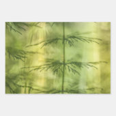 Horsetail Nature Foto Geschenkpapier Set (Vorderseite)