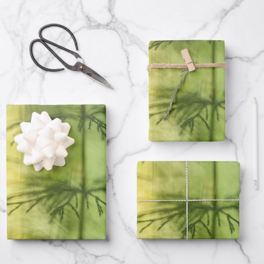 Horsetail Nature Foto Geschenkpapier Set (Vorderseite)