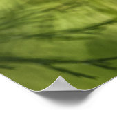 Horsetail Nature Foto Poster (Ecke)
