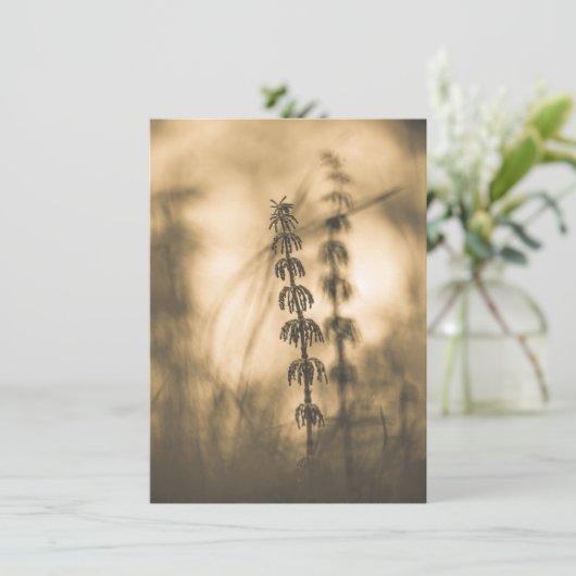 Horsetail Sepia Fotokarte (Stehend Vorderseite)