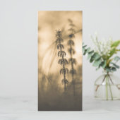 Horsetail Sepia Fotokarte (Stehend Vorderseite)
