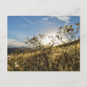 Horsetooth Reservoir Colorado Postcard Postkarte (Vorderseite)