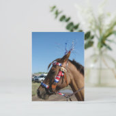 Horsey 4th postkarte (Stehend Vorderseite)