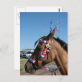 Horsey 4th postkarte (Vorne/Hinten)
