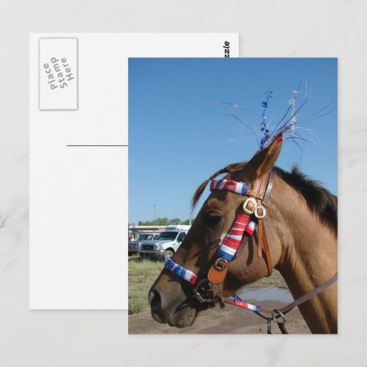 Horsey 4th postkarte (Vorne/Hinten)