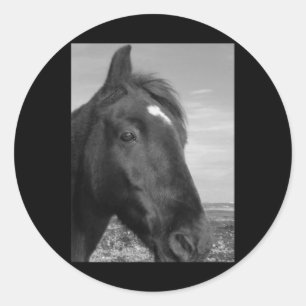 Horsey Inishowen Black and White Vertikal Sticker