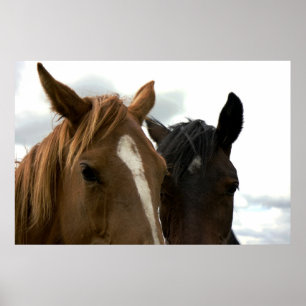 horsey Liebeplakat Poster