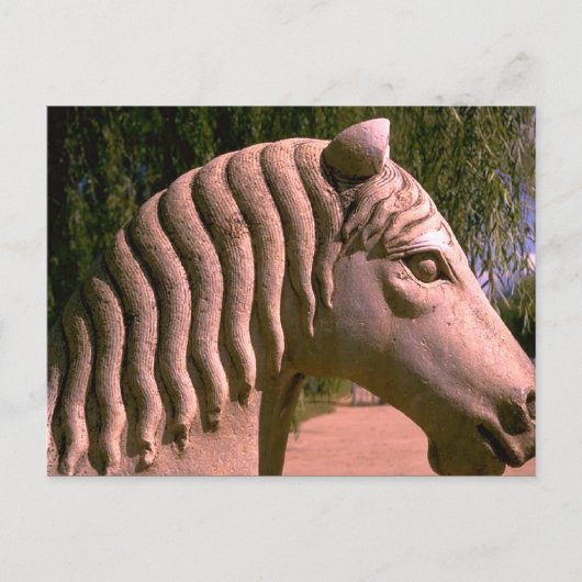 Horsey Postkarte (Vorderseite)