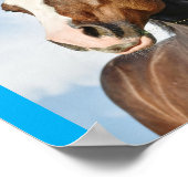 horsie cute poster (Ecke)