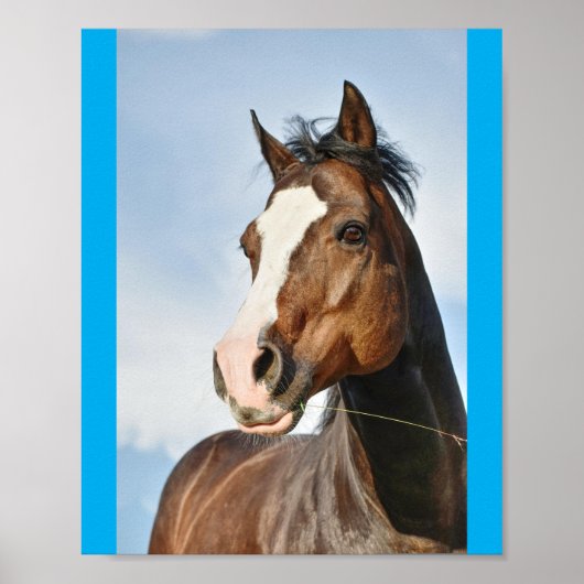 horsie cute poster (Vorne)
