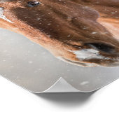HORSIE POSTER (Ecke)