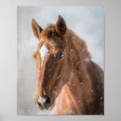 HORSIE POSTER (Vorne)