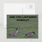 HÖRST DU HAROLD? Postkarte? Postkarte (Vorne/Hinten)
