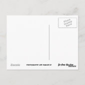 HÖRST DU HAROLD? Postkarte? Postkarte (Rückseite)