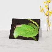 "Hörst du, wie du einen Bug gefangen hast.." Brunn Karte (Gelbe Blume)