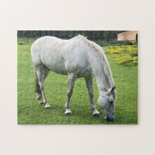 Horst Jigsaw - Ein Weiße Pferde im Feld Puzzle (Horizontal)