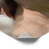 Horst Poster American Flag (Ecke)