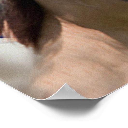 Horst Poster American Flag (Ecke)