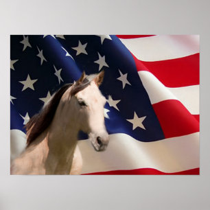Horst Poster American Flag