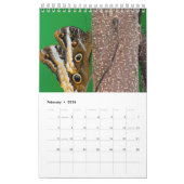 hört das Leben ab Kalender (Feb 2026)