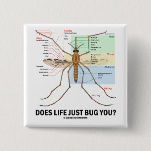 Hört das Leben Sie gerade ab? (Moskito-Anatomie) Button