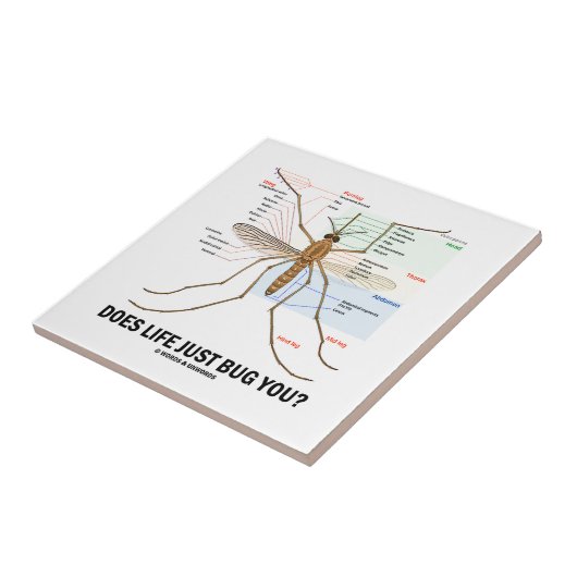 Hört das Leben Sie gerade ab? (Moskito-Anatomie) Fliese (Seite)