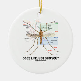 Hört das Leben Sie gerade ab? (Moskito-Anatomie) Keramikornament