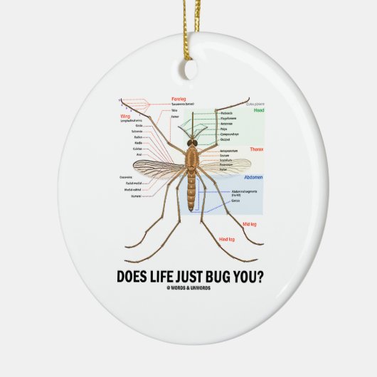 Hört das Leben Sie gerade ab? (Moskito-Anatomie) Keramikornament (Links)