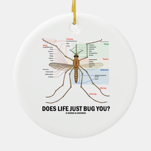 Hört das Leben Sie gerade ab? (Moskito-Anatomie) Keramikornament (Hinten)