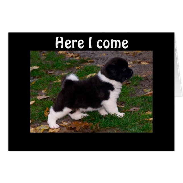 HÖRT, DASS DU EINEN BOOBOOBOOLEG HAST (Vorderseite (Horizontal))