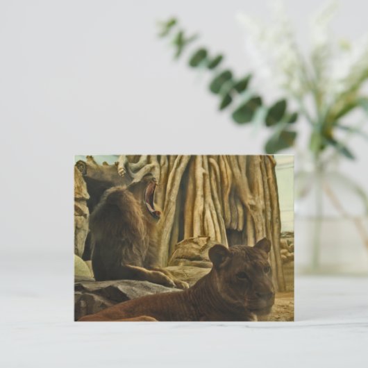 Hört mich Roar! Postkarte (Stehend Vorderseite)