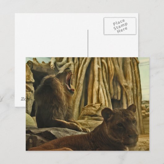 Hört mich Roar! Postkarte (Vorne/Hinten)