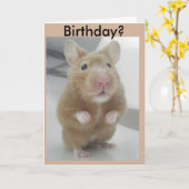 Hörte ich nach rechts? karte (Gelbe Blume)