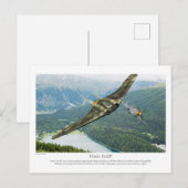 Horten Ho229 Postkarte (Vorne/Hinten)