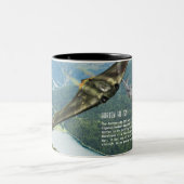 Horten Ho229 Zweifarbige Tasse (Mittel)