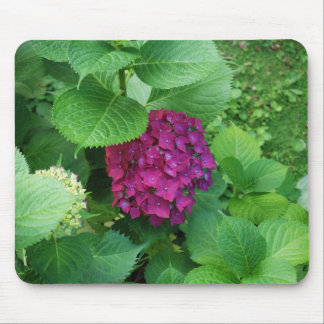 Hortensia-Auflage Mousepad