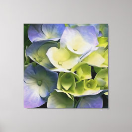 Hortensia Blossom Botanische Kunst Blau und Gelb Leinwanddruck