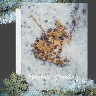 Hortensia-Blume auf dem Schnee Feiertagspostkarte