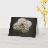 Hortensia Greeting Card Karte (Gelbe Blume)