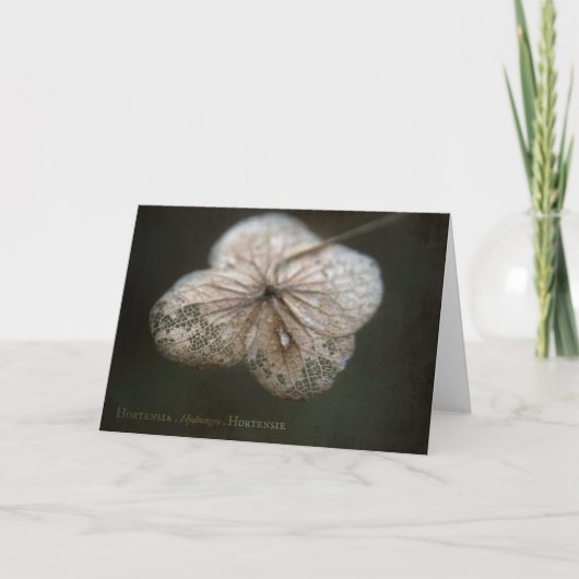 Hortensia Greeting Card Karte (Vorderseite)
