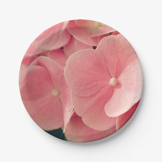 Hortensia Hydrangea rosa pastellfarbene Blume Pappteller (Vorderseite)