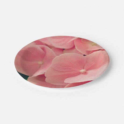 Hortensia Hydrangea rosa pastellfarbene Blume Pappteller (Schrägansicht)